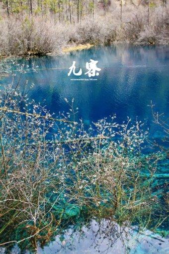 本宫来自古代