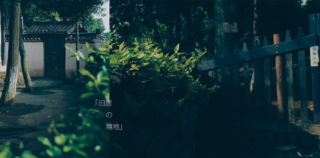 八角改良嫁接忙